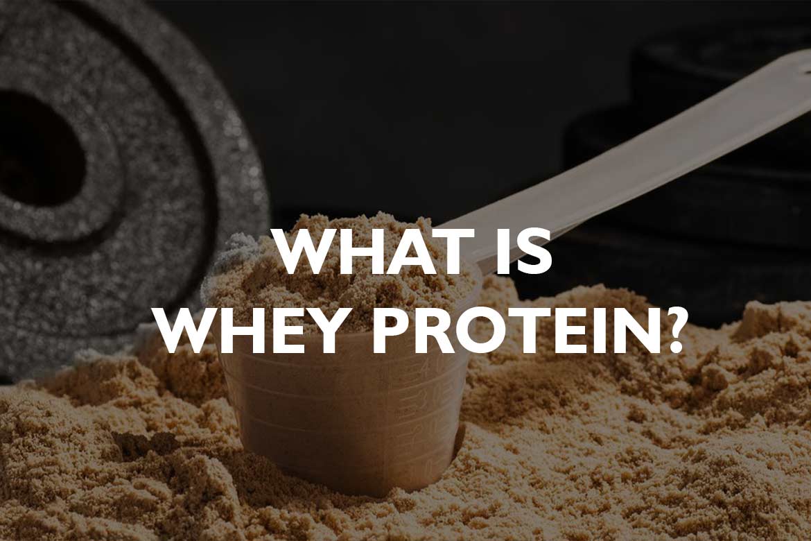 What is whey protein?